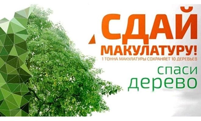 «Сдай макулатуру – спаси дерево!».